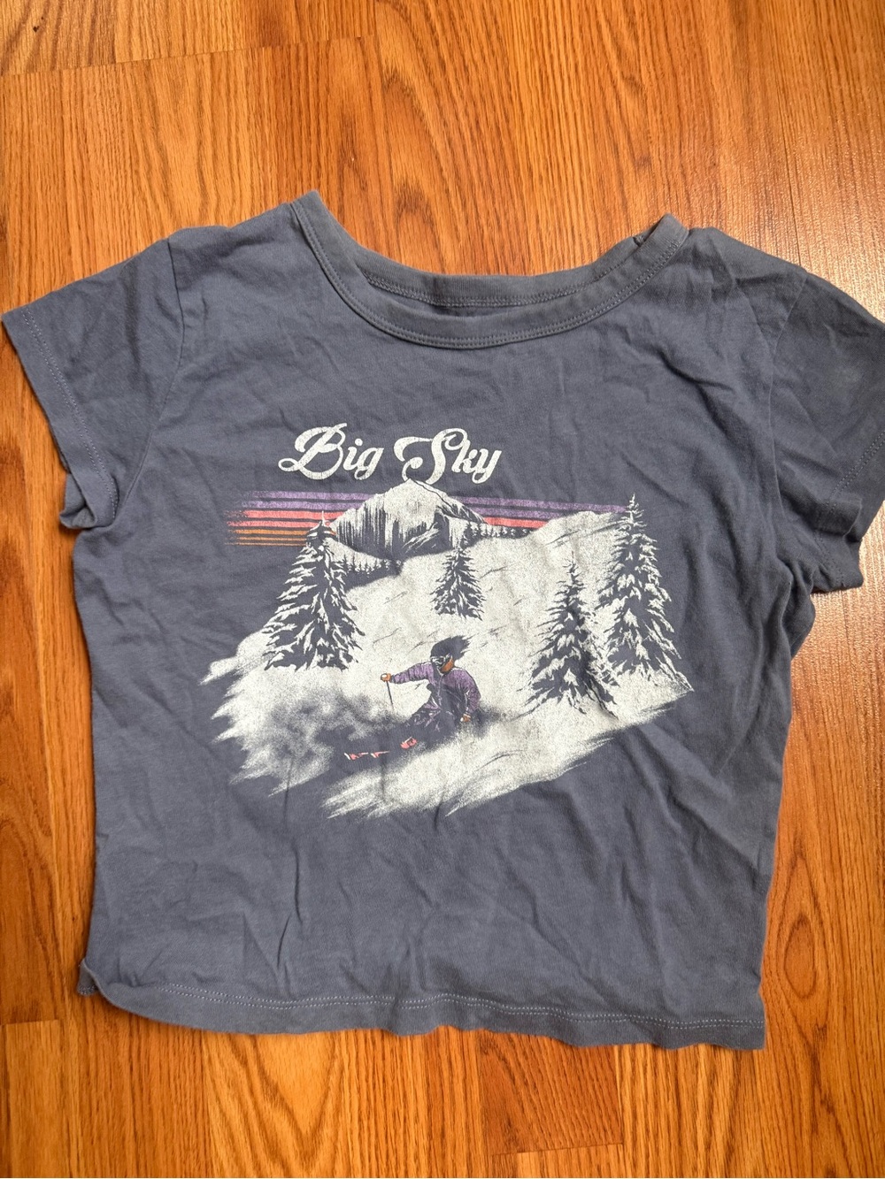 Hollister Short Sleeve Graphic Tee - Blue